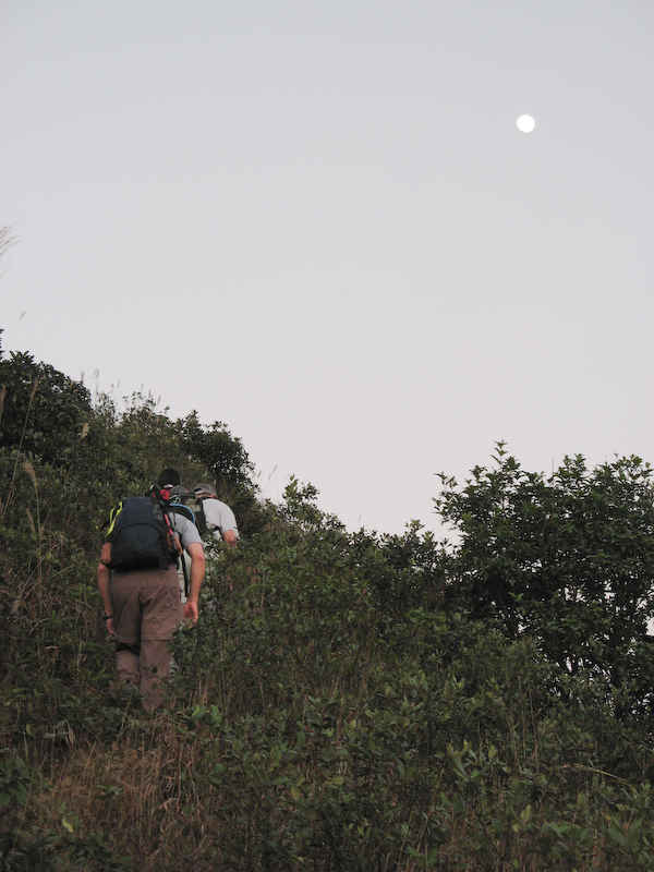 way to 牛押山 2.jpg