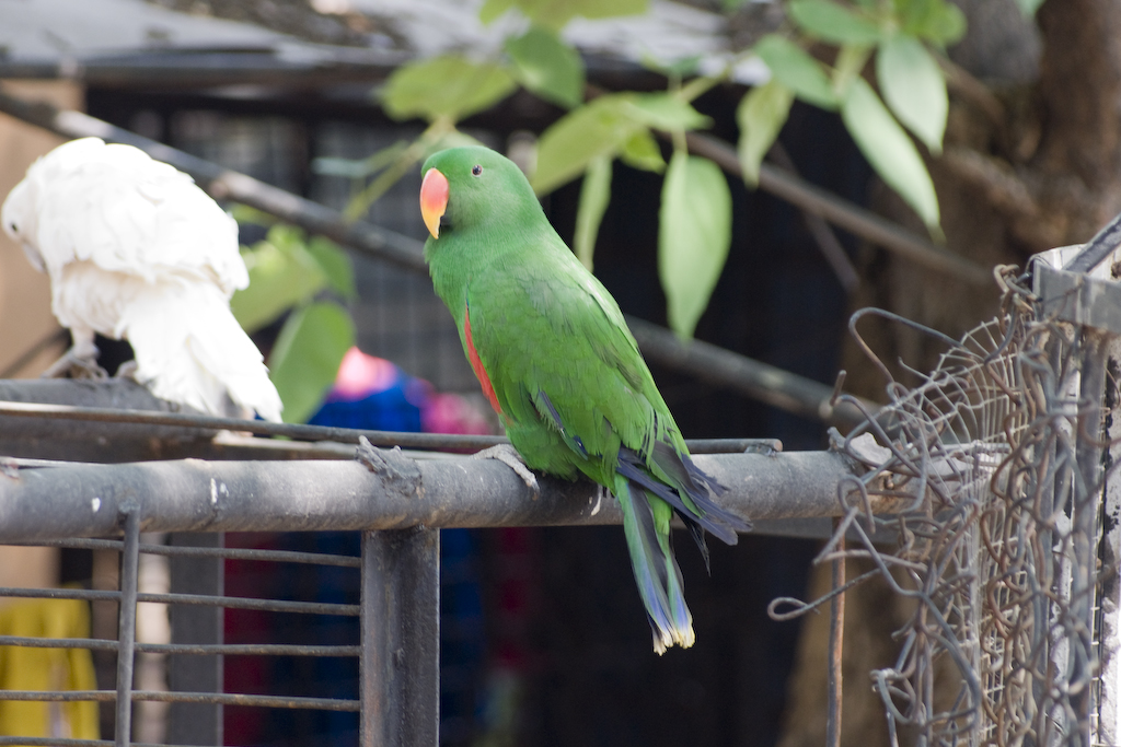dsc03447.jpg