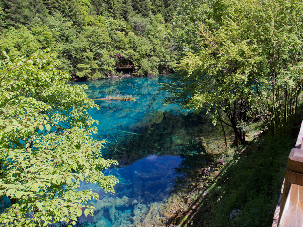 P5220371.jpg