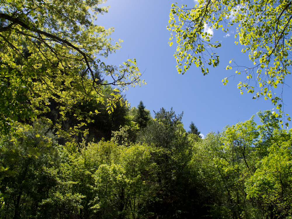 P5220416.jpg