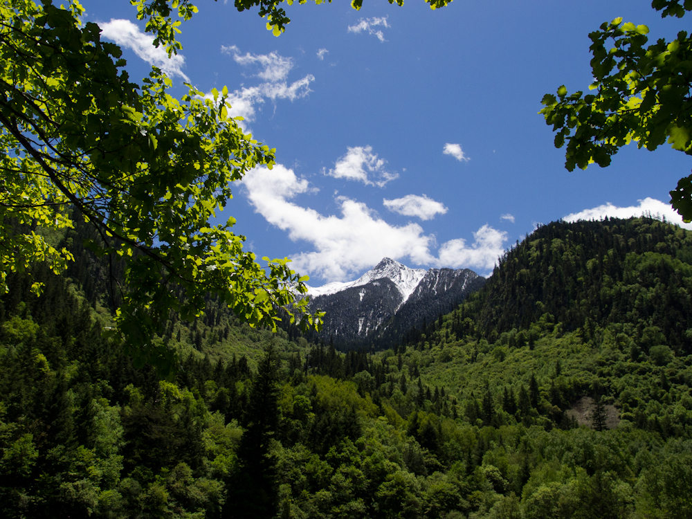 P5220459.jpg