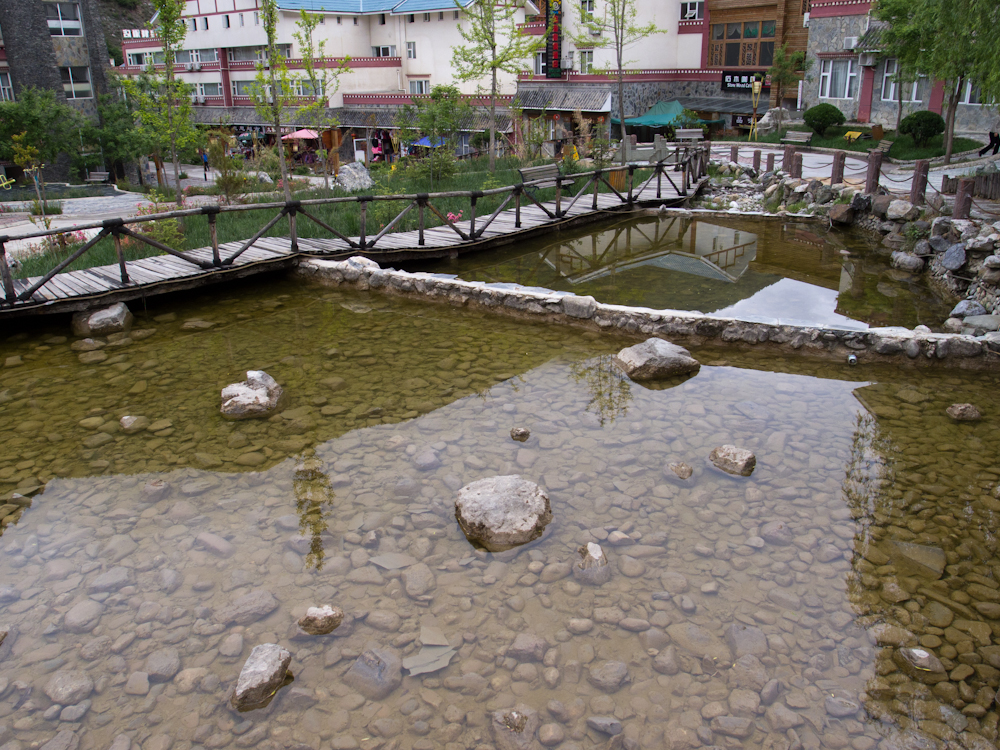 P5210268.jpg