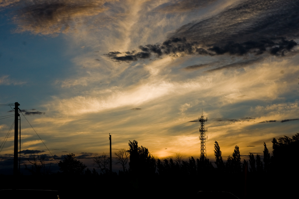DSC03354.jpg