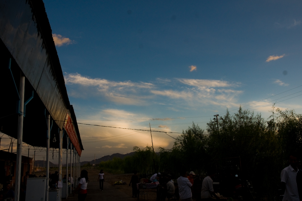DSC03484.jpg