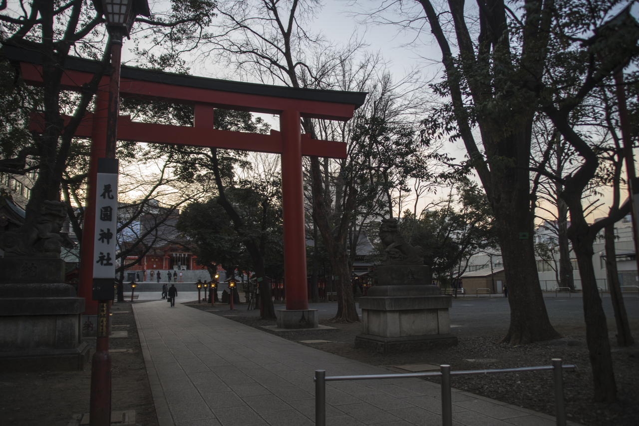 DSC03530.jpg