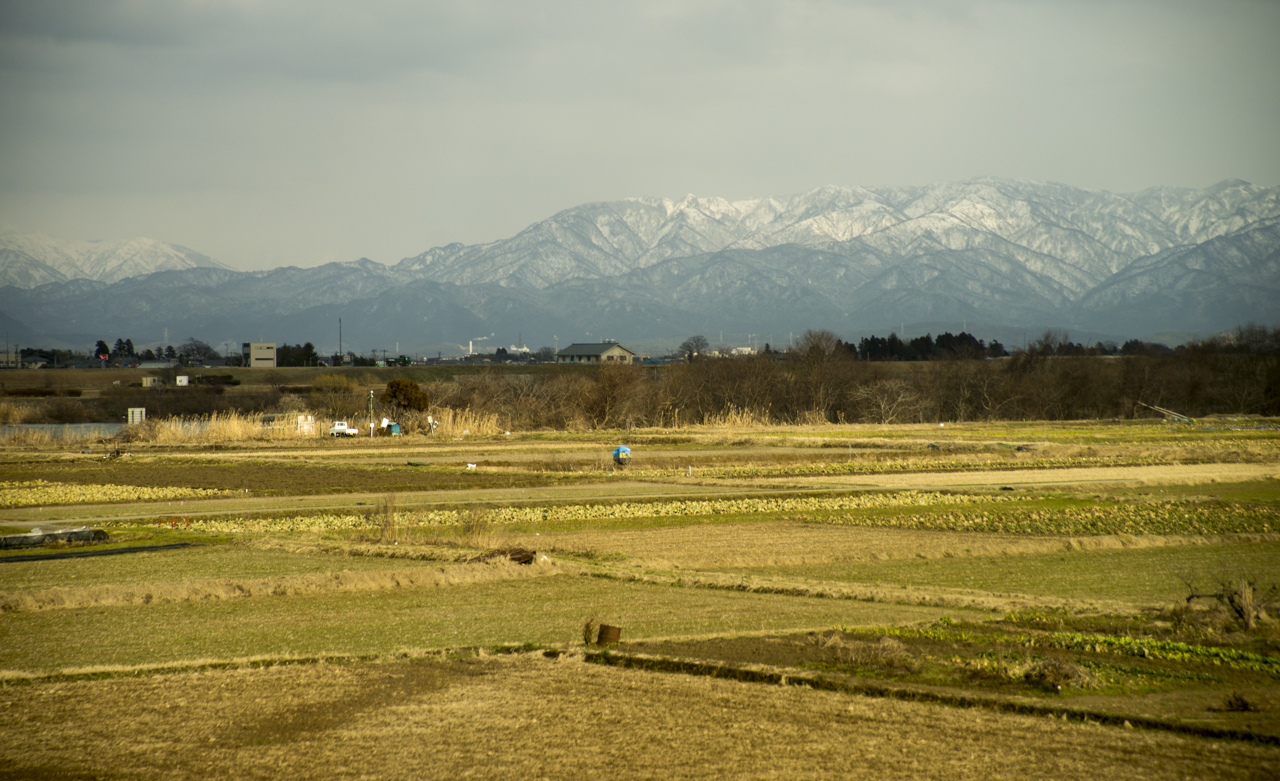 DSC03711.jpg