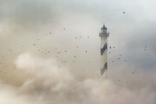 eagles-around-lighthouse-fog.jpg