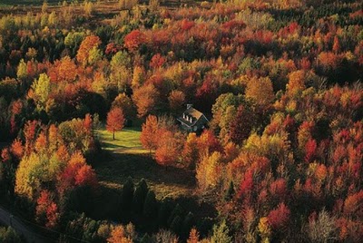 secluded_houses_01.jpg