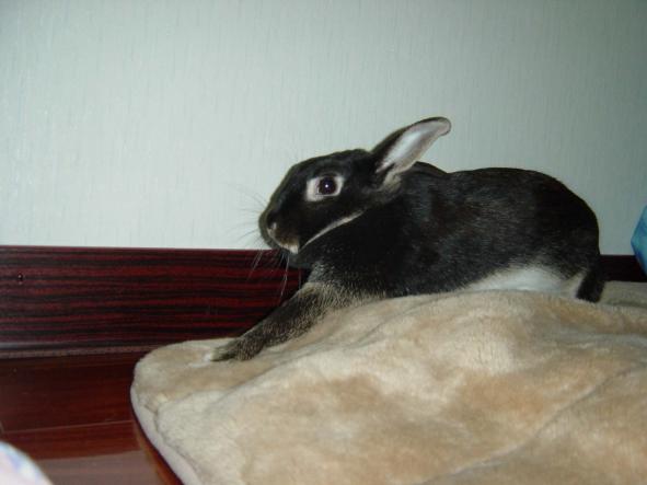 20031121_tippi0323_140451.jpg