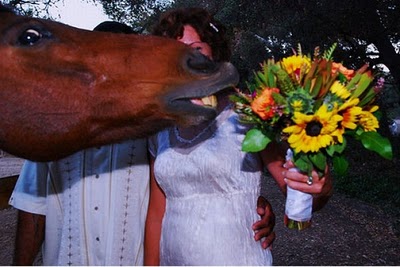 horse_photobombs_20.jpg