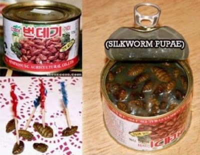 strange-canned-foods-12.jpg