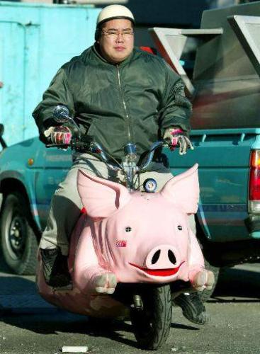 PigMoto.jpg