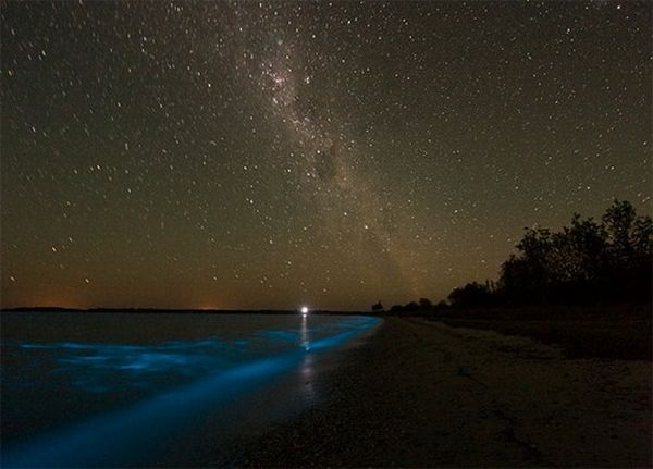 bioluminescent_lake_04.jpg