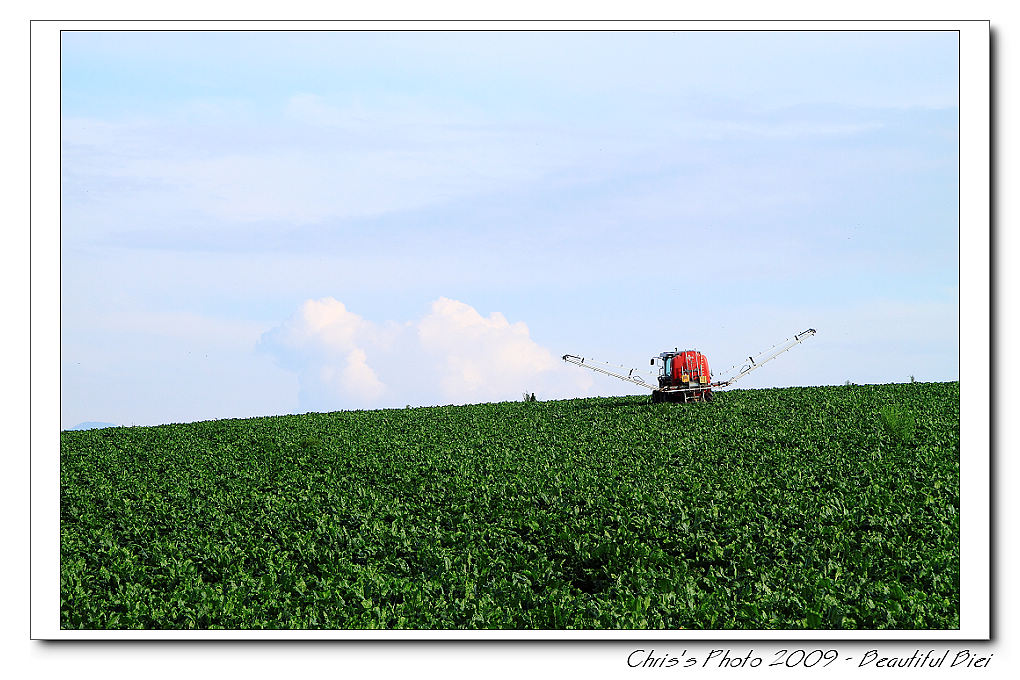 20090830_07fb2cf497d172f4257fUGNCHD8e5ALu.jpg