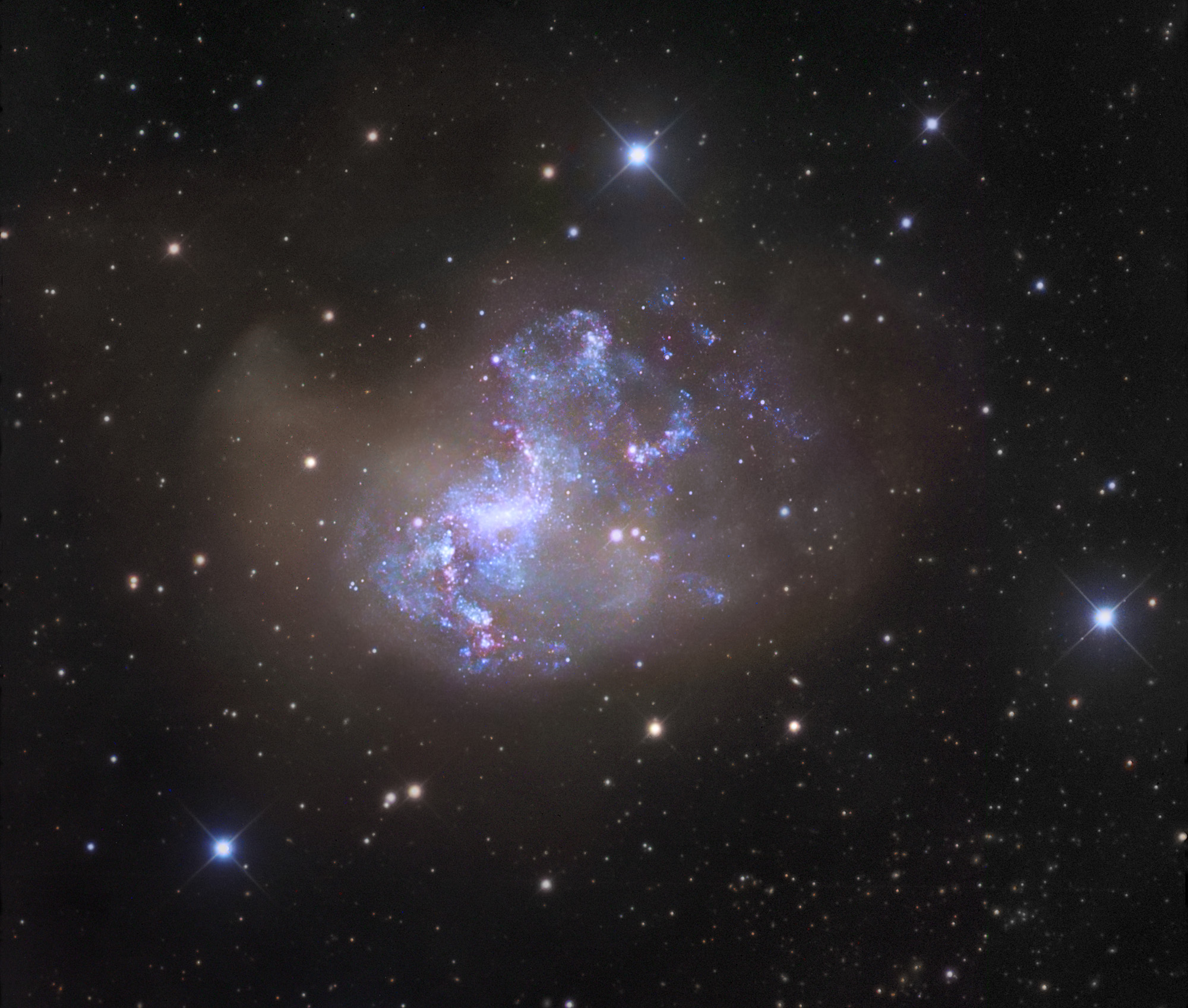 ngc1313_gendler_big.jpg