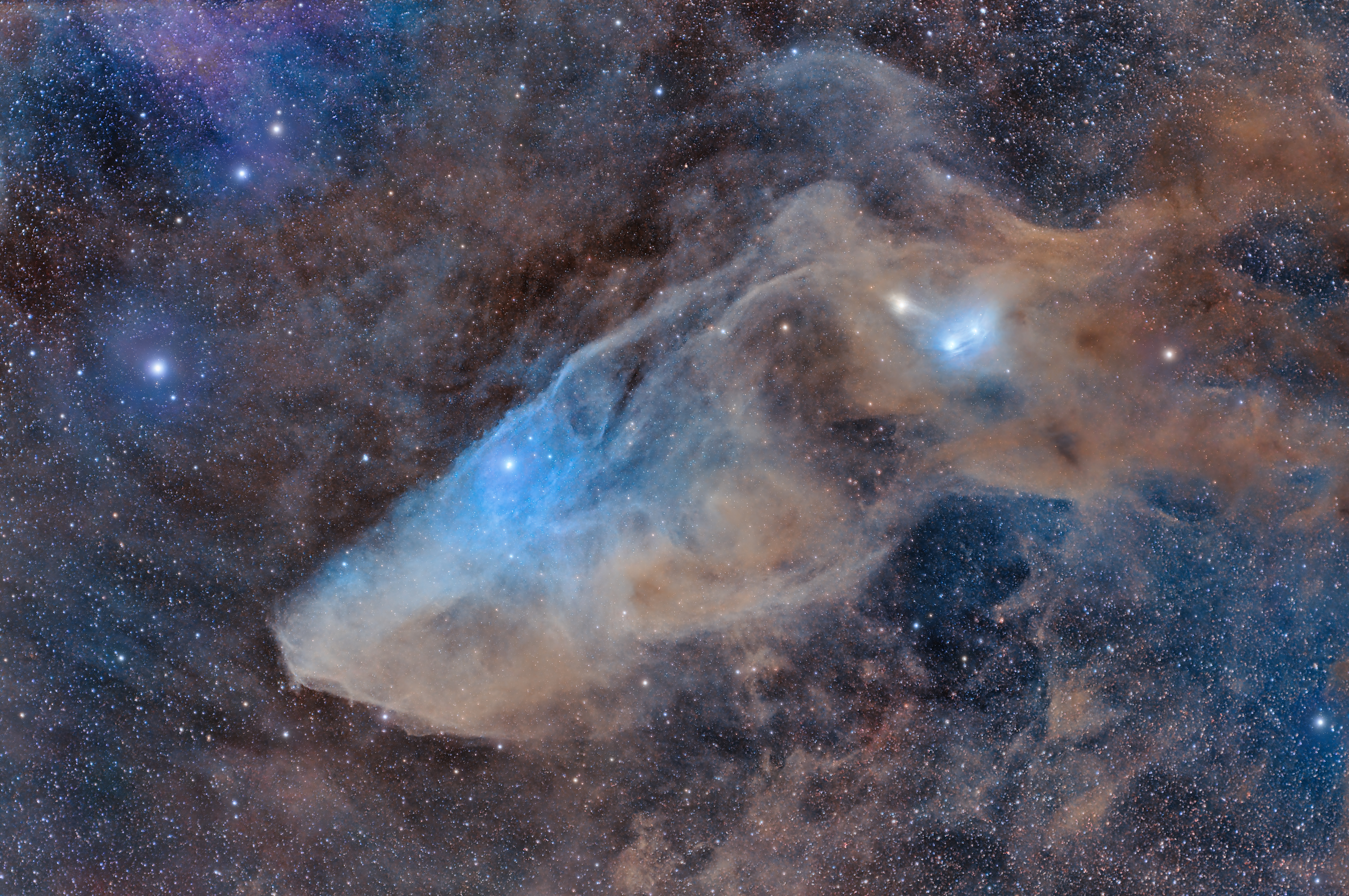 BlueHorse_Grelin_9342.jpg