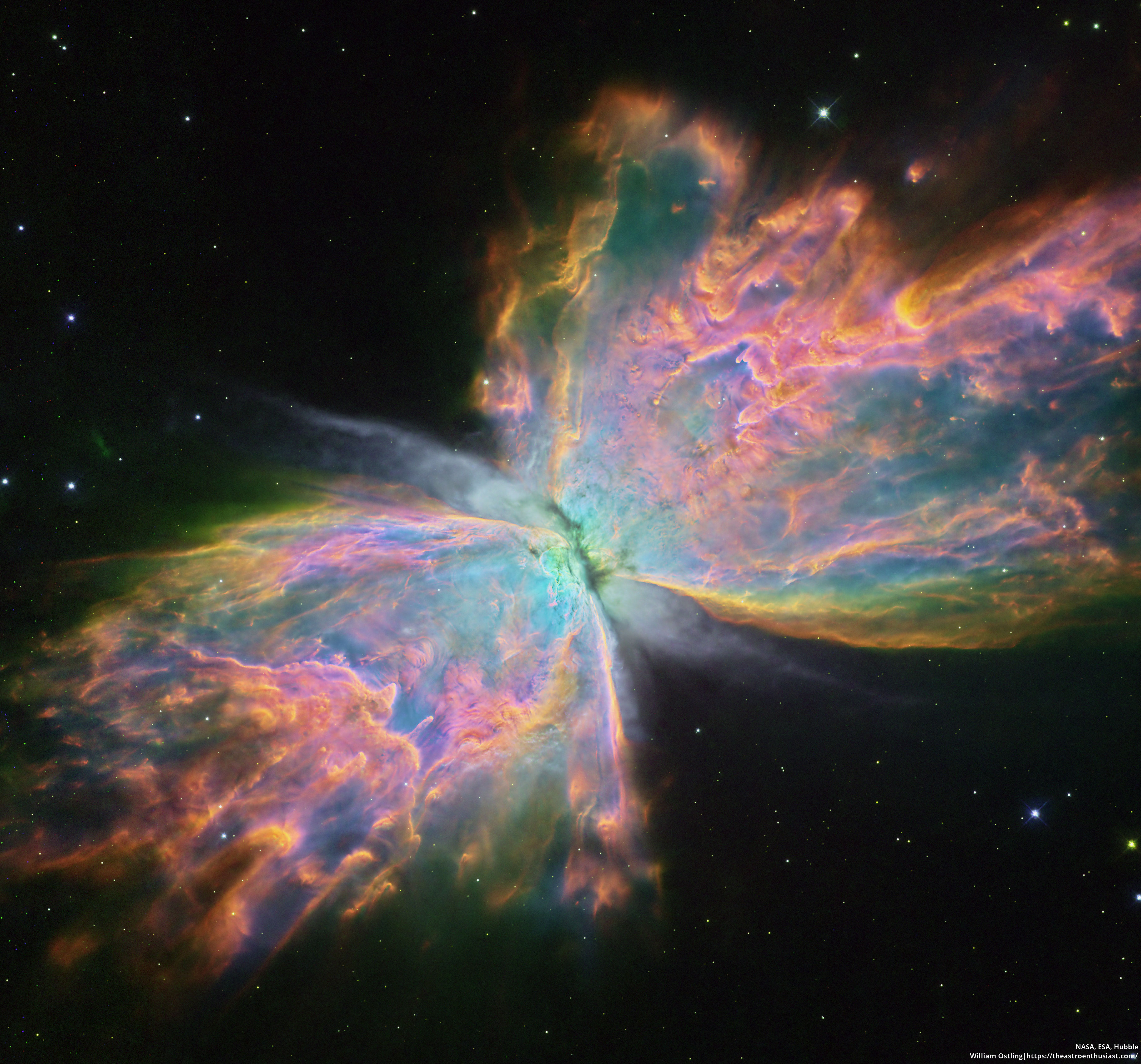 Butterfly_HubbleOstling_3656.jpg