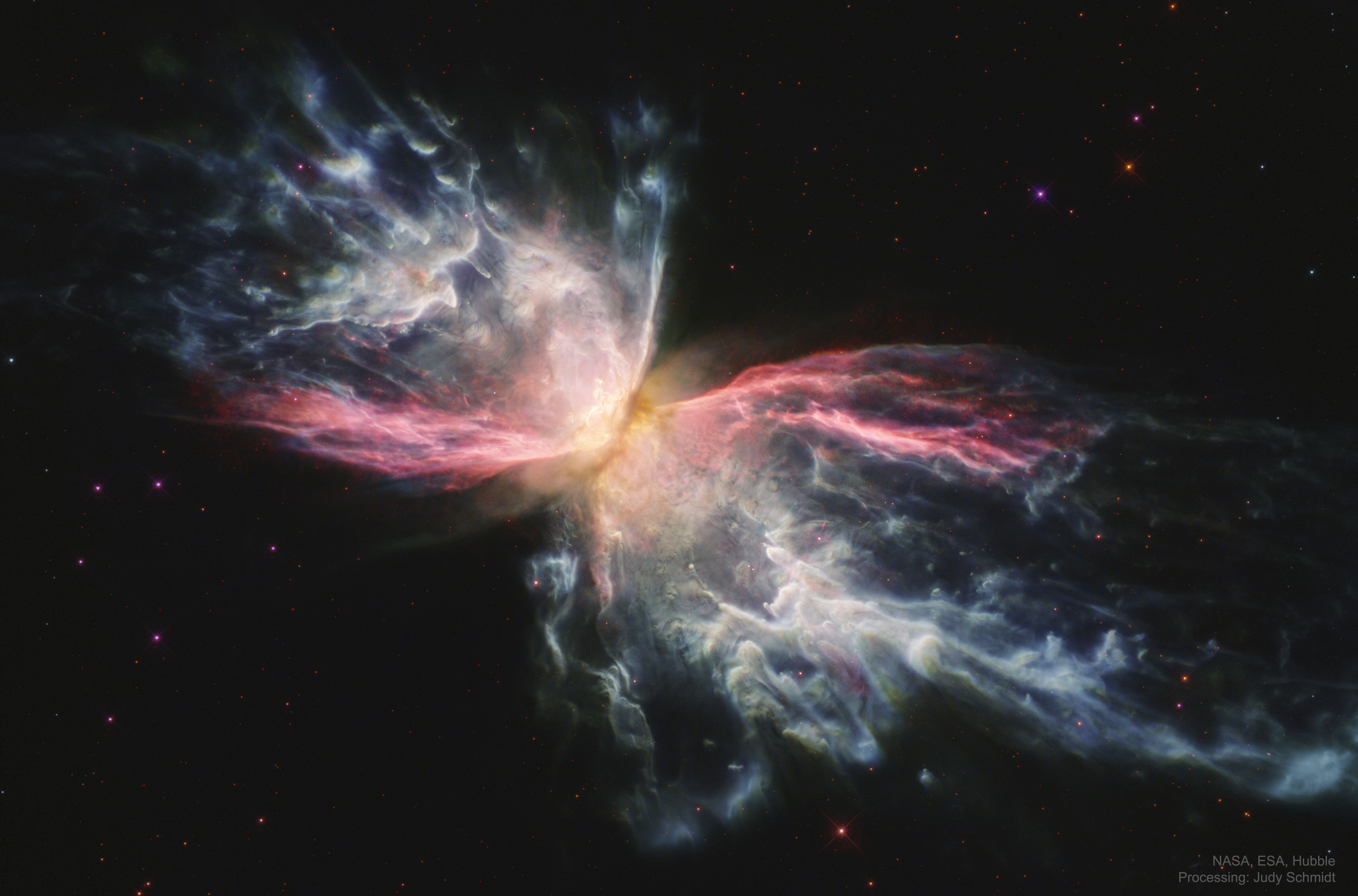 Butterfly_HubbleSchmidt_4767.jpg
