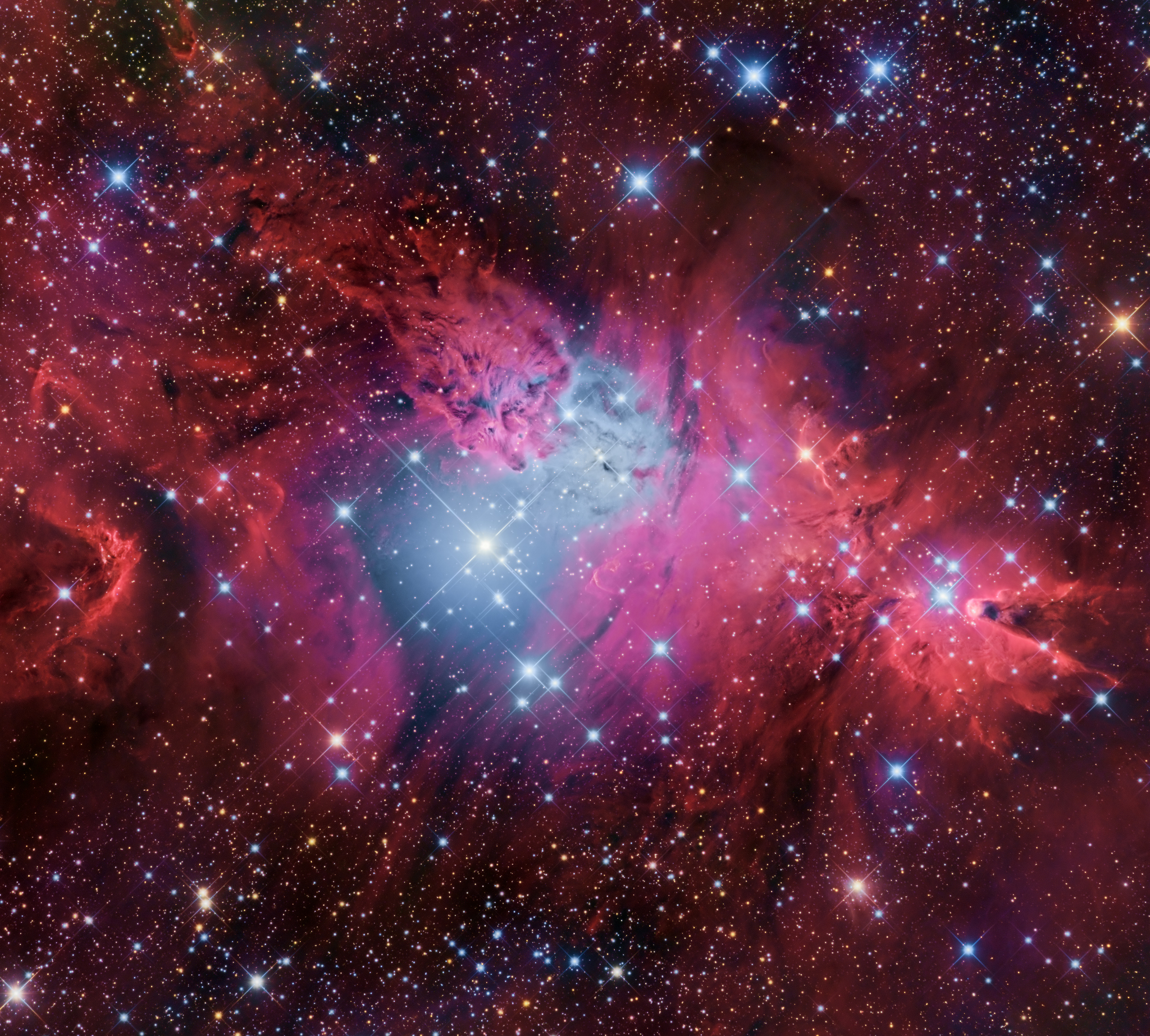 FoxFur_new_color_2048px.jpg