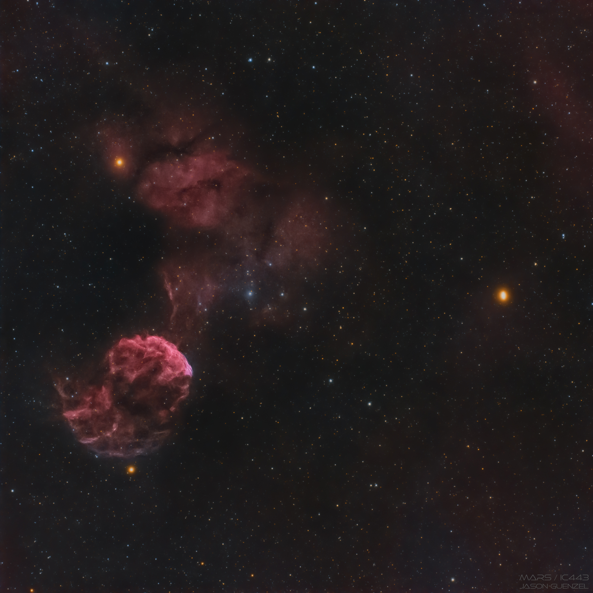 Guenzel-JellyfishMars30APR2021.jpg