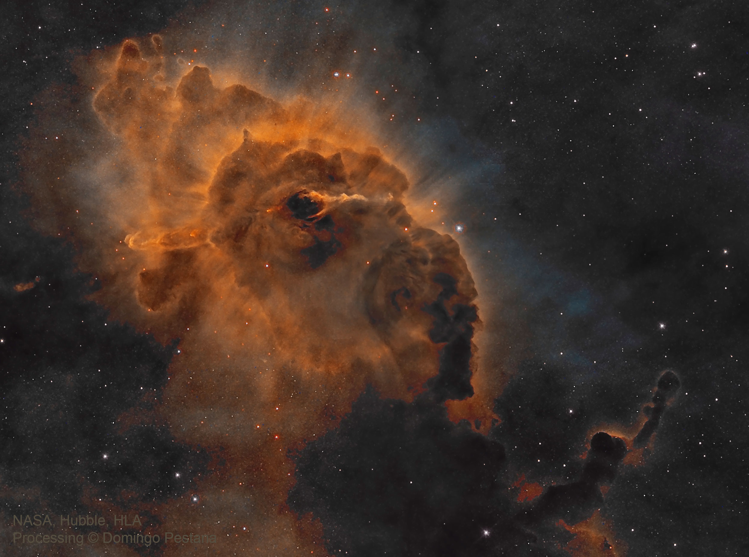 HH666_HubblePestana_2495.jpg