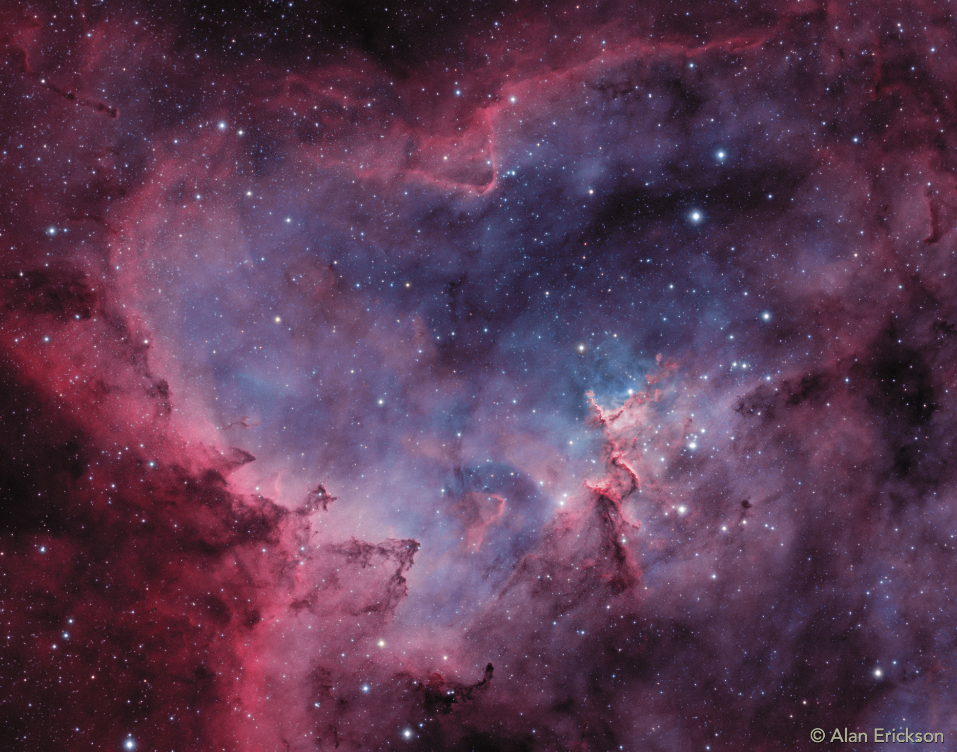 HeartBiColor_Erickson_1961.jpg