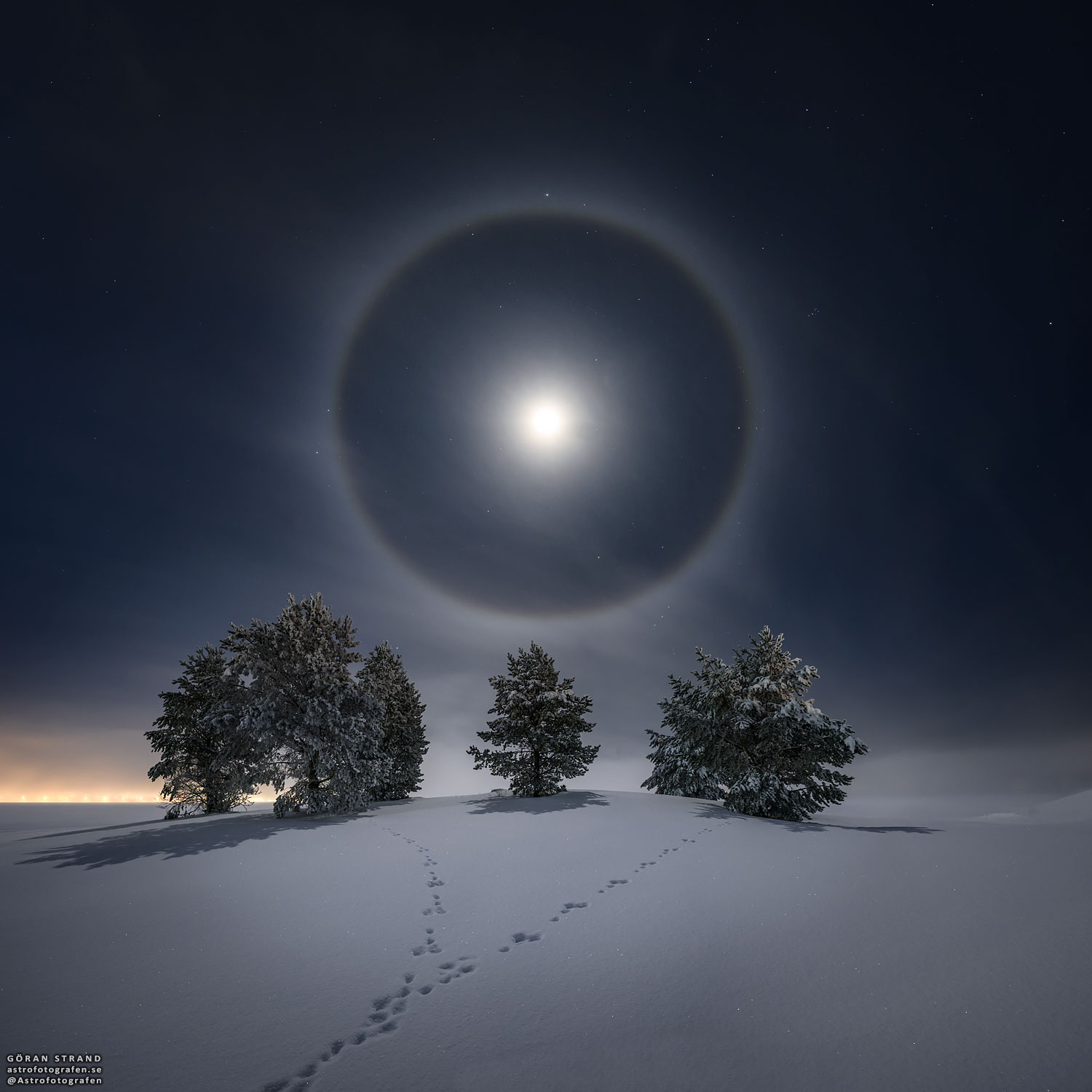 LunarHalo_Strand_1500.jpg