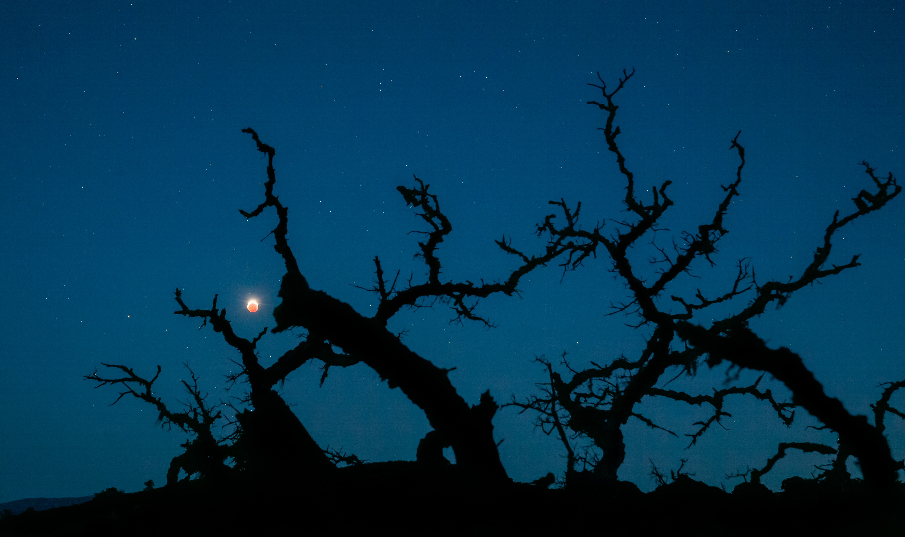 Lunareclipse_PinnaclesNationalPark.jpg