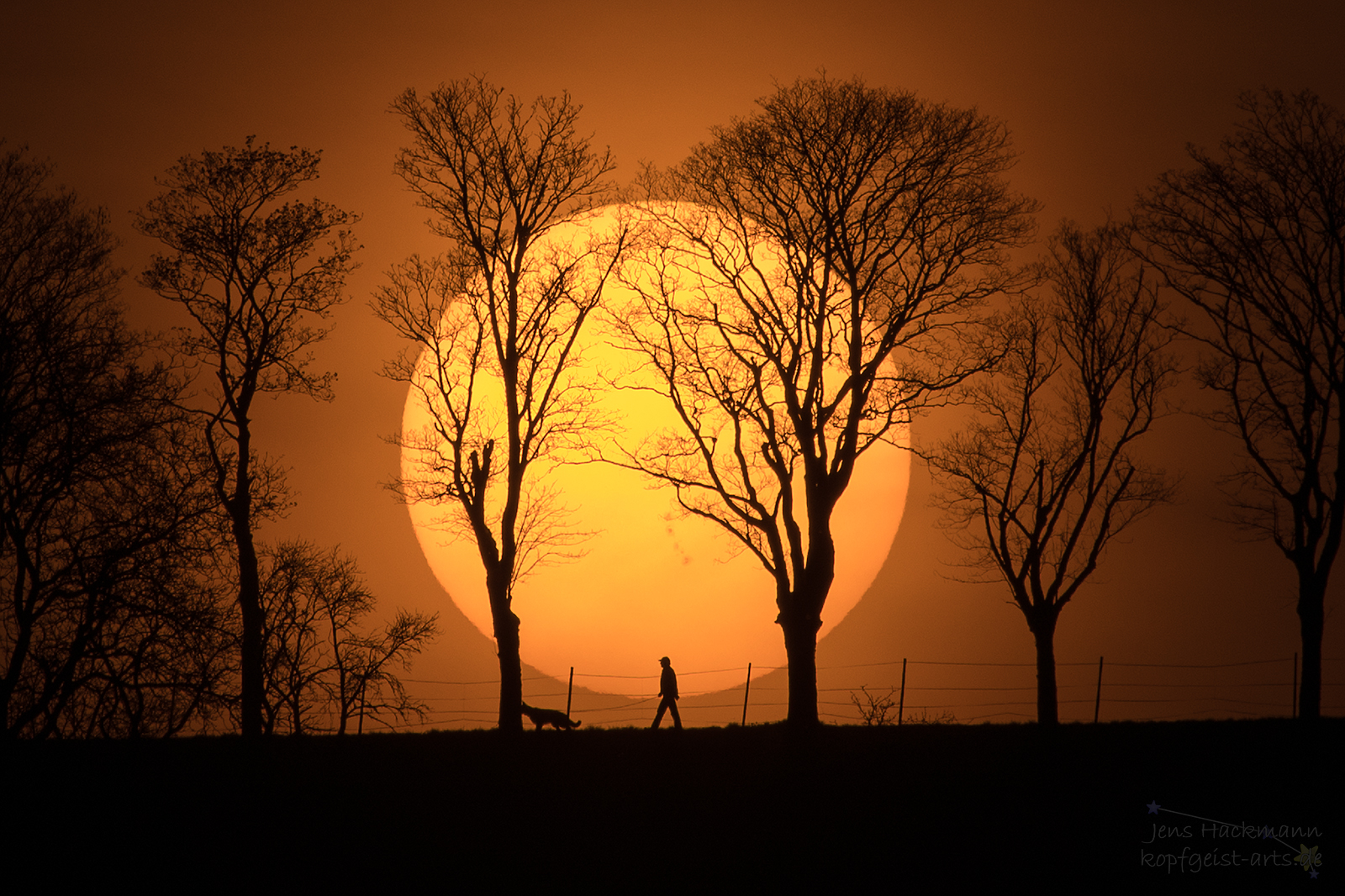 ManDogSun_Hackmann_1600.jpg