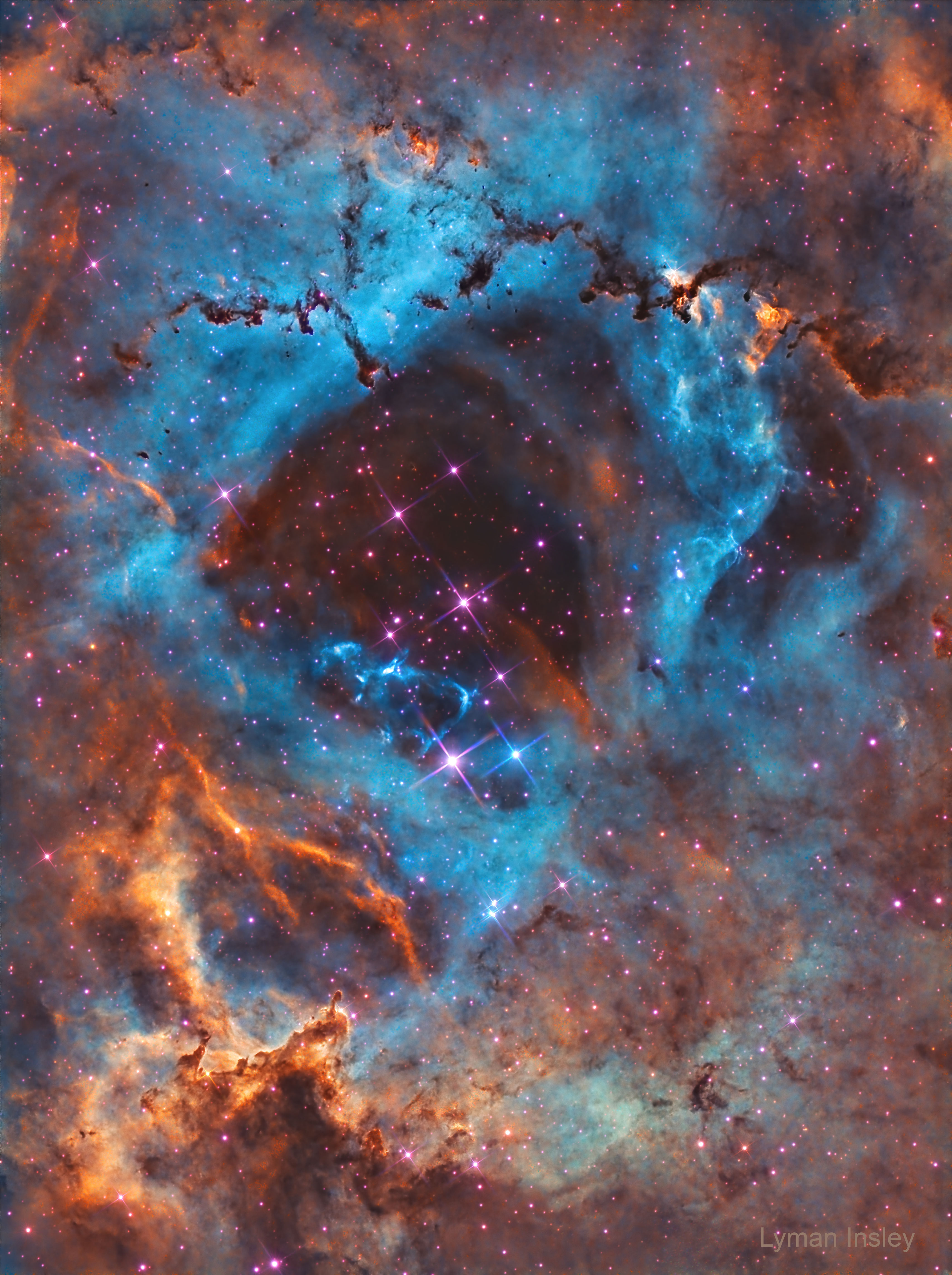 Rosette_Insley_3424.jpg