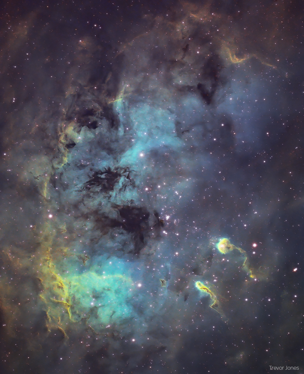 Tadpoles-of-IC-410-Trevor-Jones.jpg