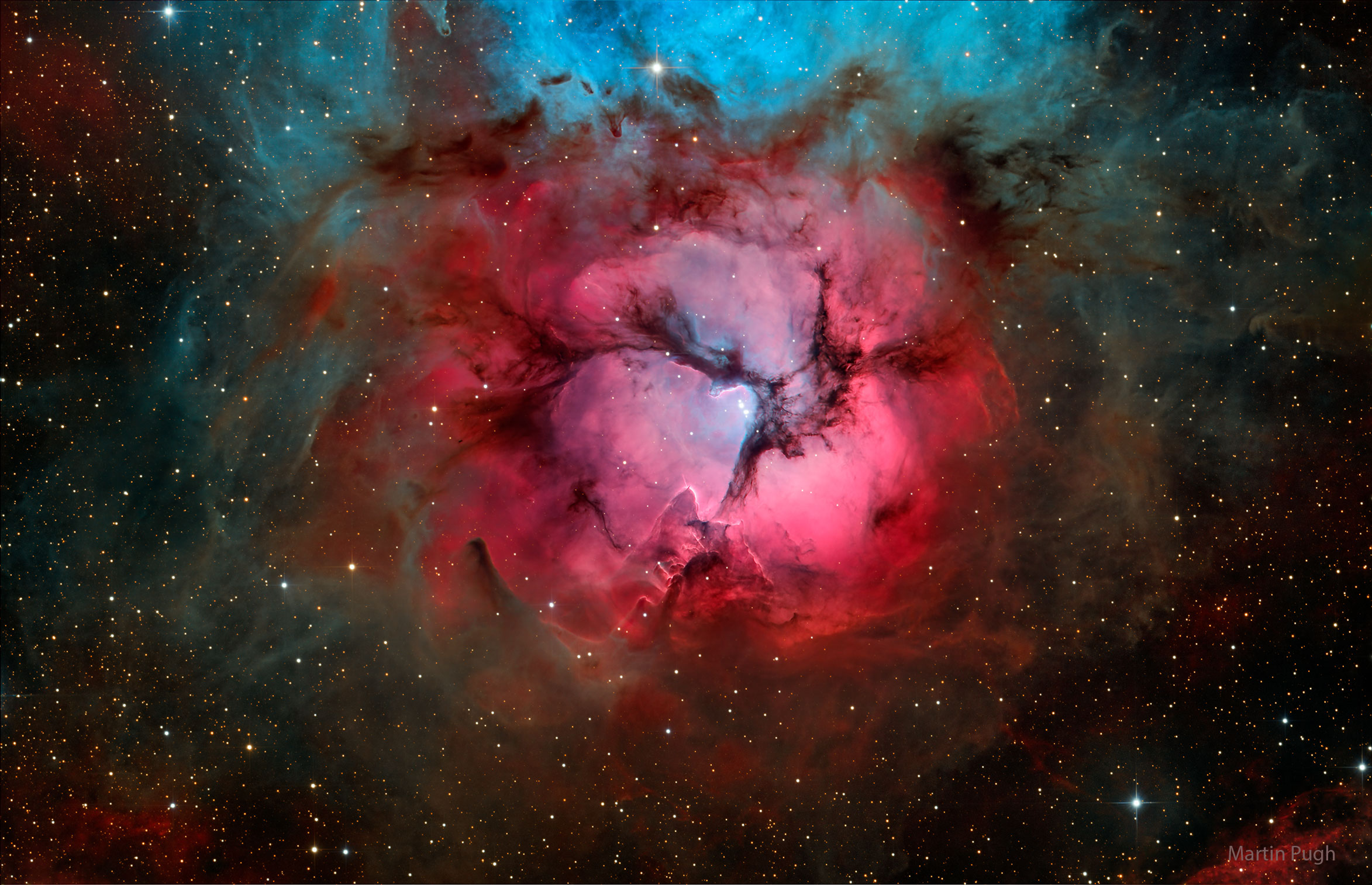 Trifid_Pugh_2346.jpg