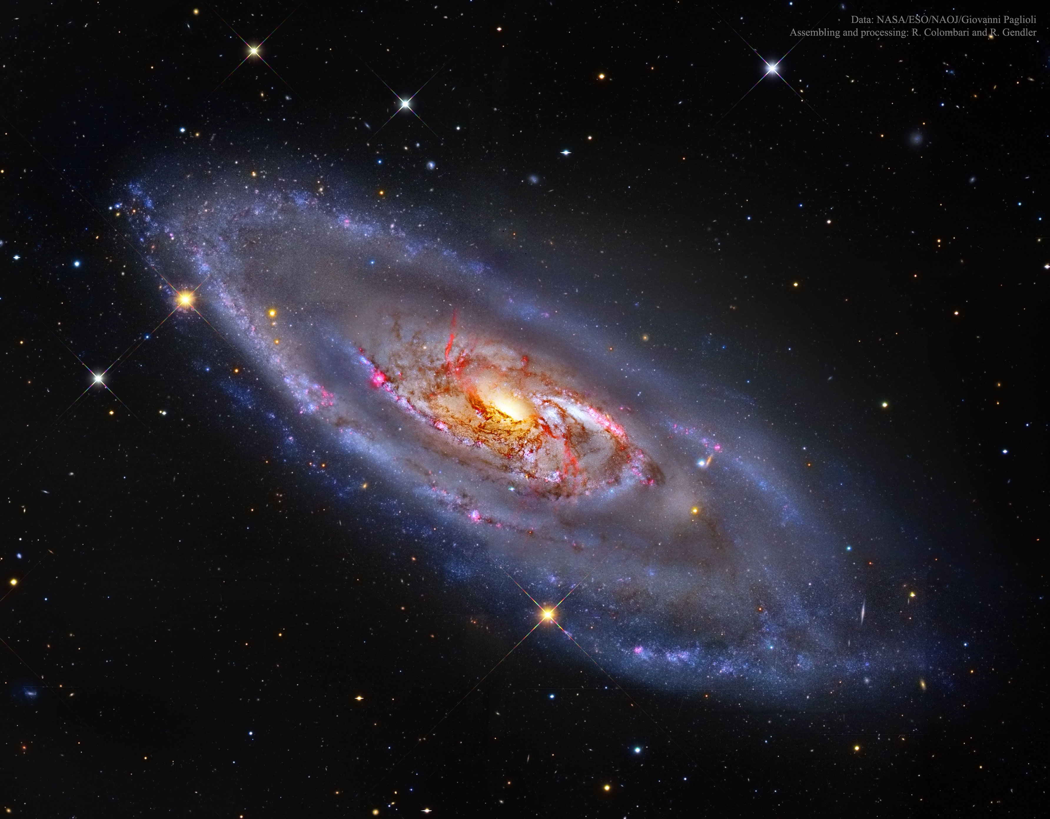 m106_colombari_3568.jpg