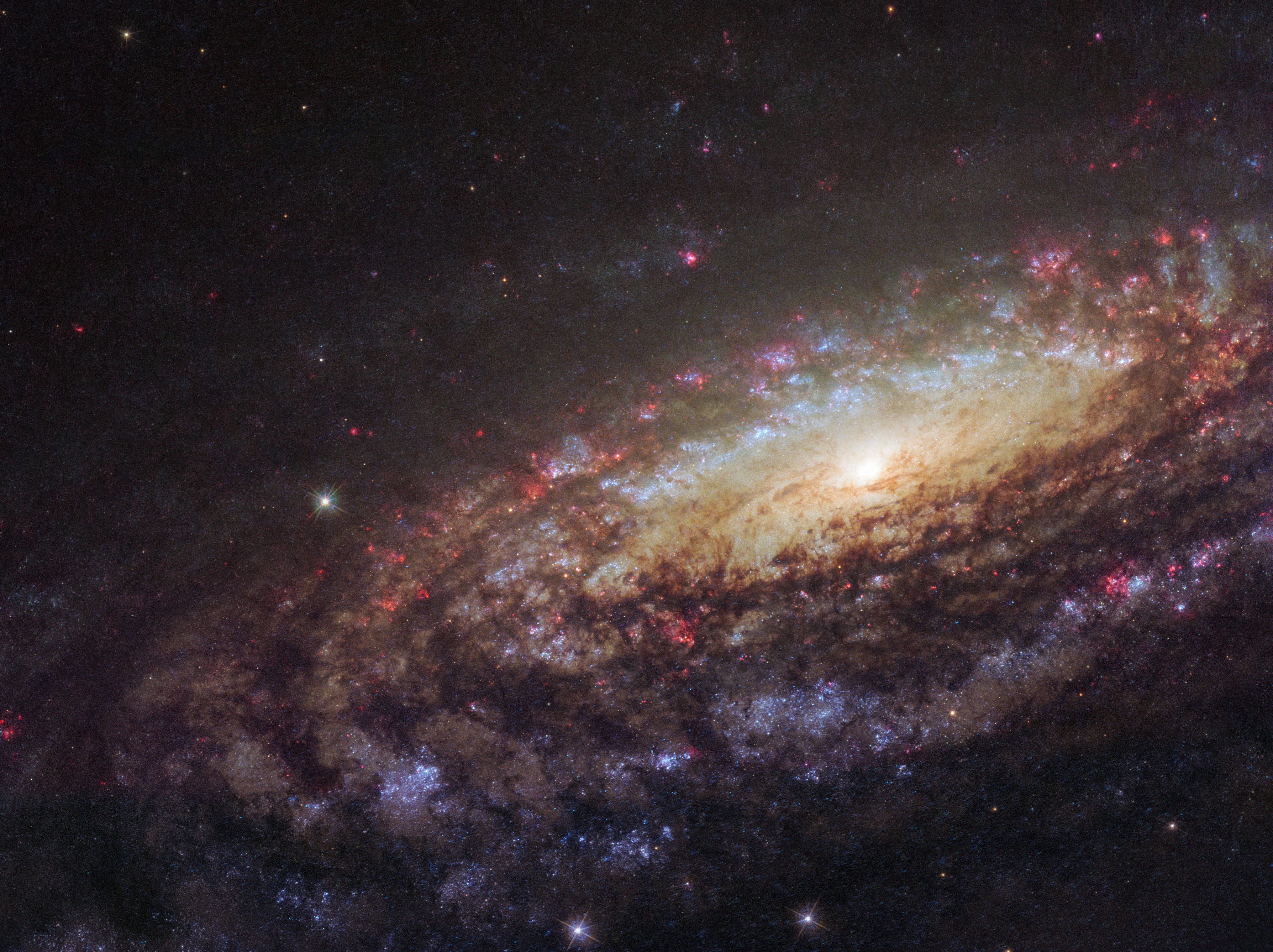 potw1805a_ngc7331.jpg