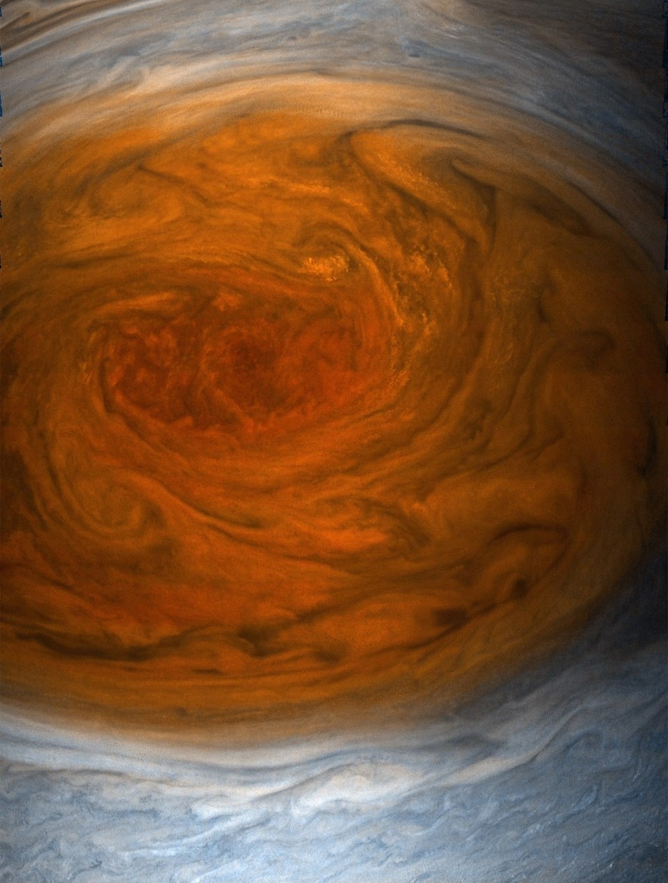 redspotDetailJuno_EichstadtDoran_crop.jpg