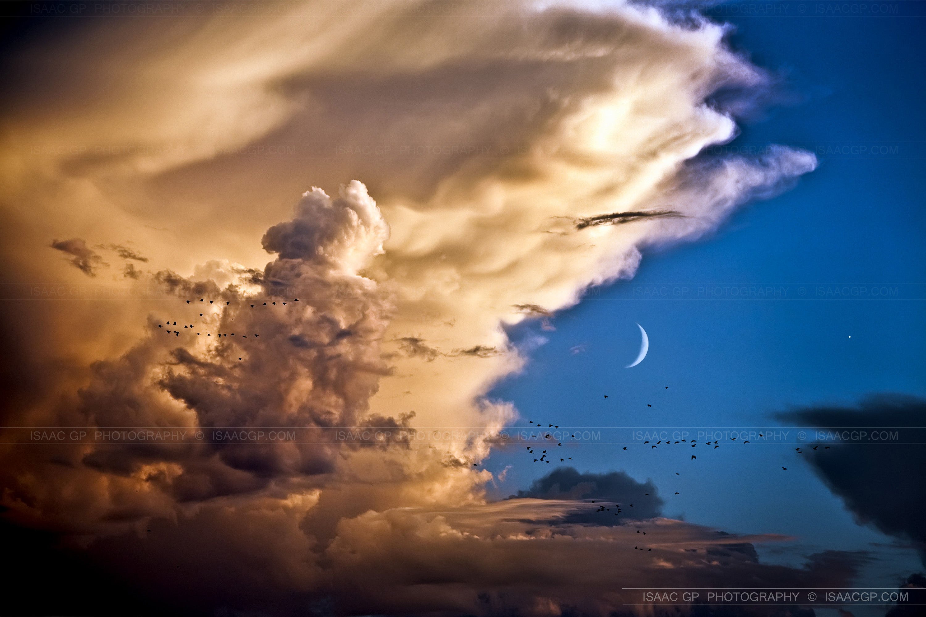 venusmoon_pascual_3000.jpg