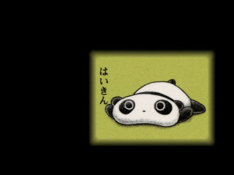 panda01.jpg