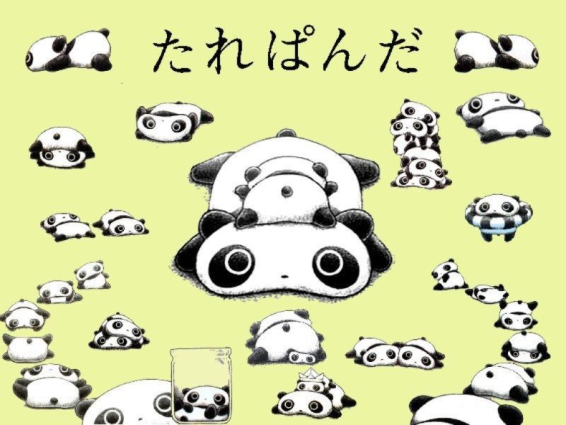 panda03.jpg