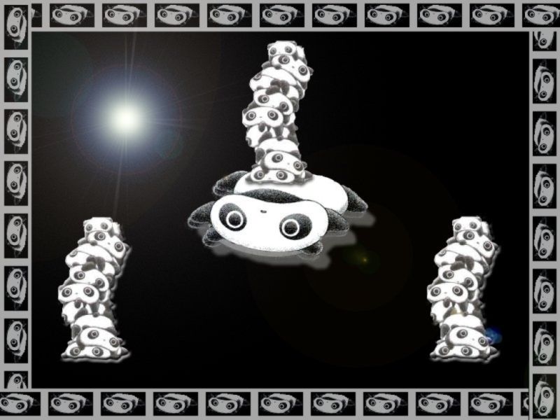 panda06.jpg