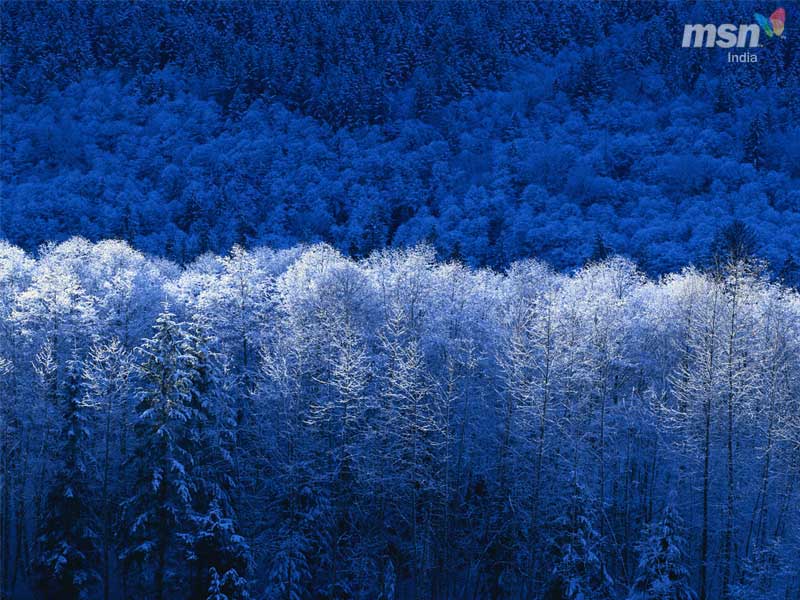 winter_800.jpg